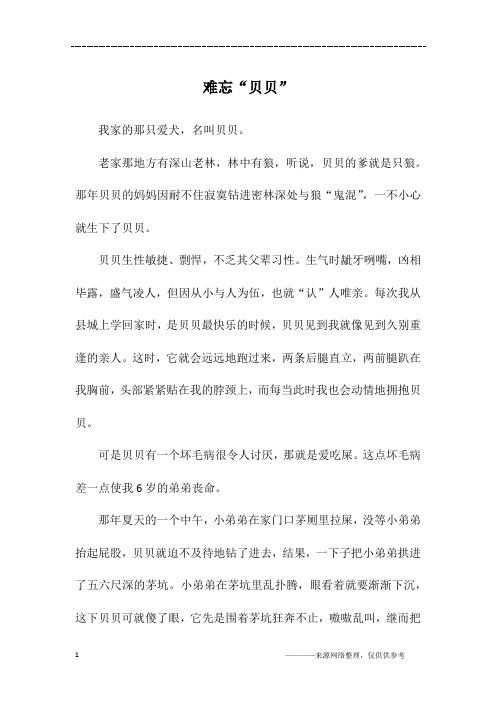 难忘“贝贝”_初三作文