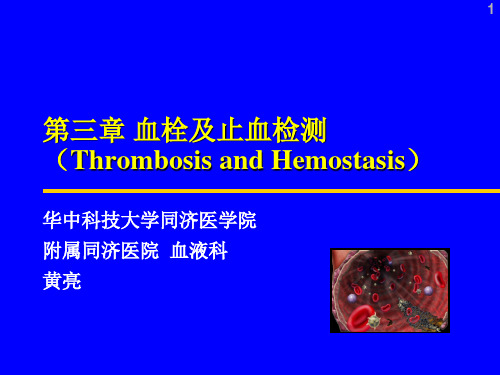 血栓及止血检测