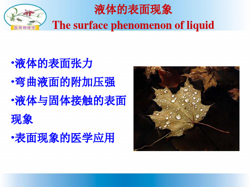 医用物理学 液体表面现象  公开课课件