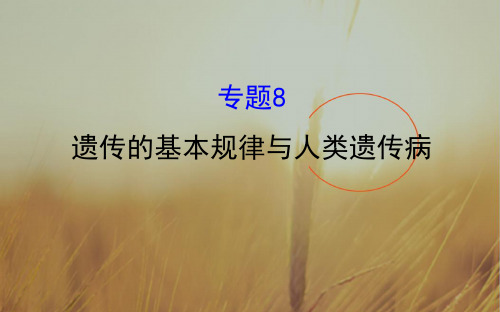 2018届高考生物二轮复习课件：专题八 遗传的基本规律与人类遗传病 共111张