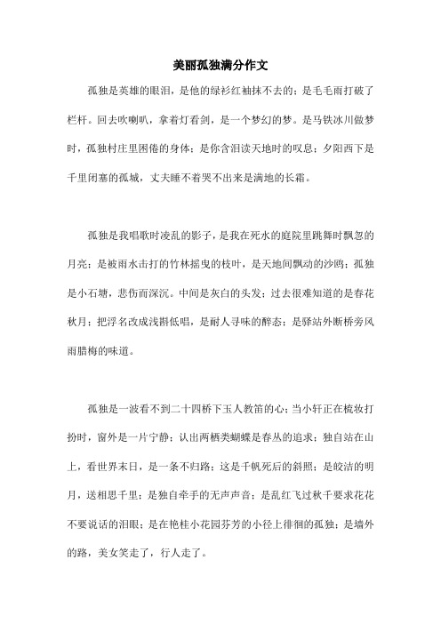 美丽孤独满分作文