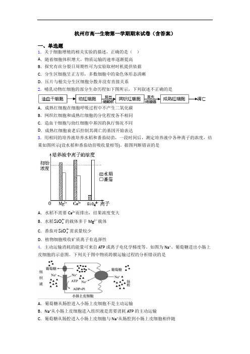 杭州市高一生物第一学期期末试卷(含答案)