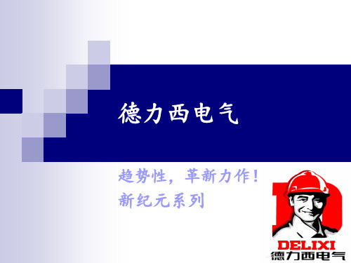 德力西电气培训.ppt