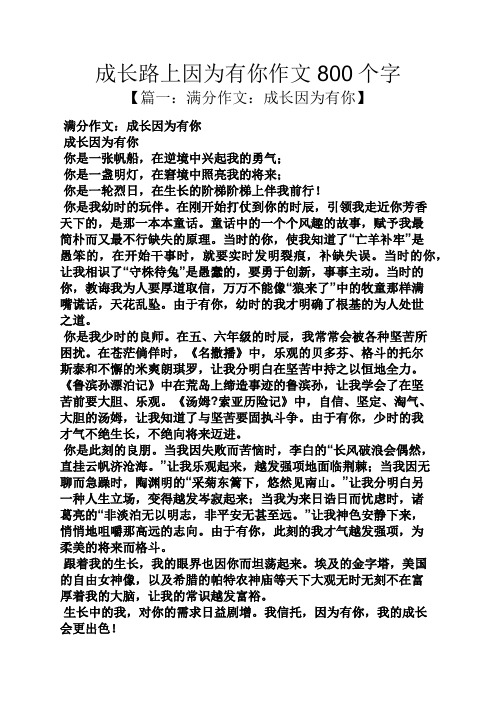 成长作文之成长路上因为有你作文800个字