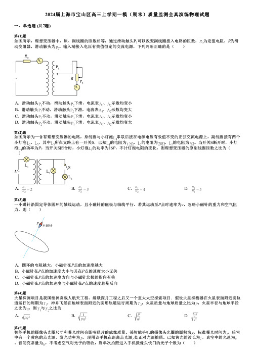 2024届上海市宝山区高三上学期一模(期末)质量监测全真演练物理试题