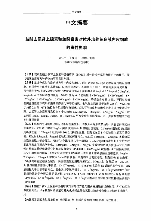 盐酸去氧肾上腺素及丝裂霉素对体外培养兔角膜内皮细胞的毒性影响