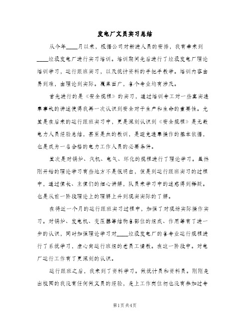 发电厂文员实习总结（2篇）