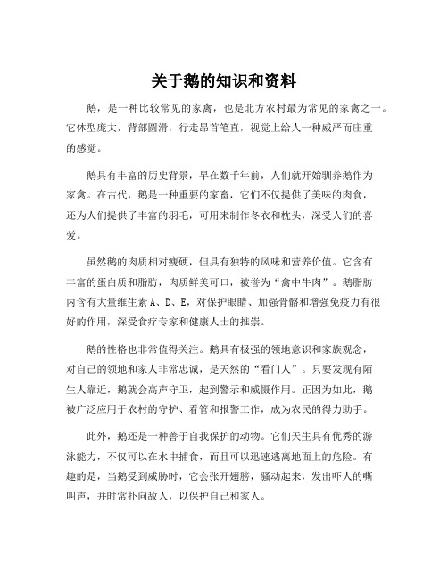 关于鹅的知识和资料