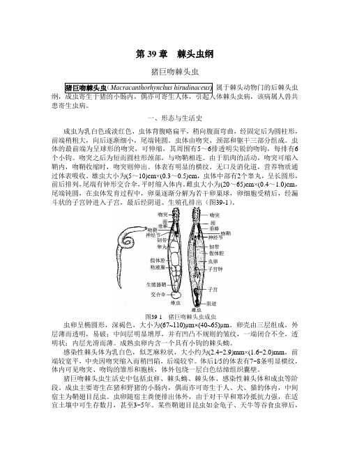 第39章棘头虫纲