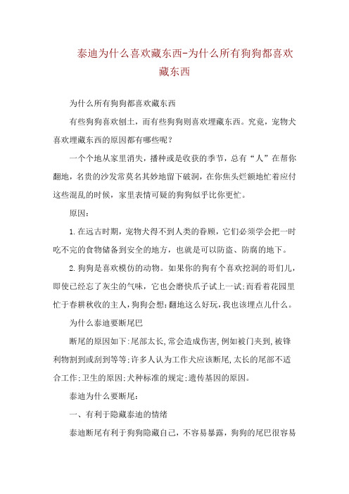 泰迪为什么喜欢藏东西-为什么所有狗狗都喜欢藏东西