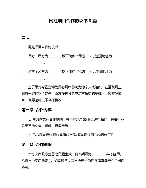 网红项目合作协议书5篇