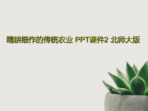 精耕细作的传统农业 PPT课件2 北师大版共35页