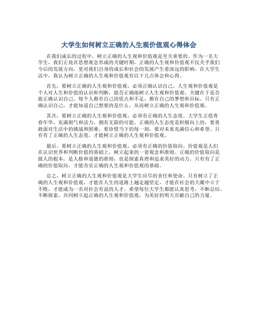 大学生如何树立正确的人生观价值观心得体会