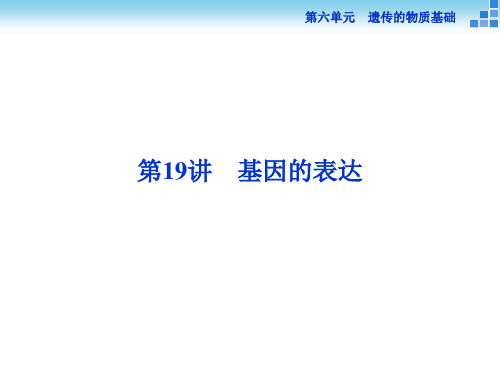 高三生物一轮复习课件 基因的表达