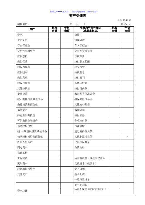 融资性担保公司财务报表Word版