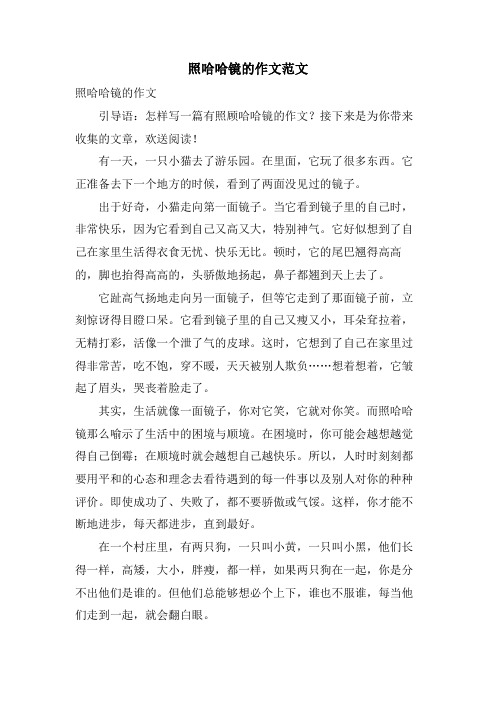 照哈哈镜的作文范文