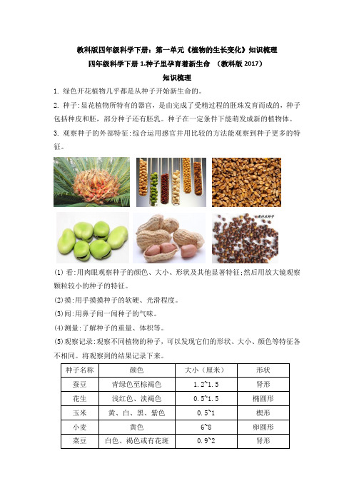 教科版四年级科学下册：第一单元《植物的生长变化》知识梳理1