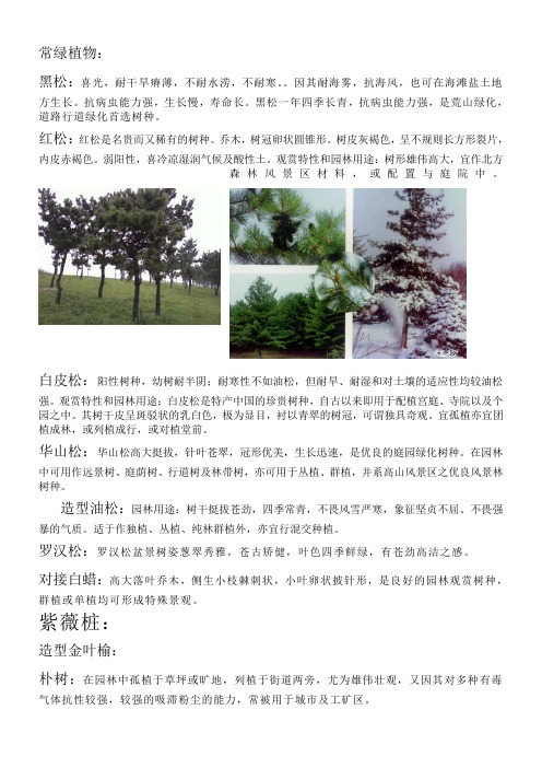 北方常用园林植物汇总