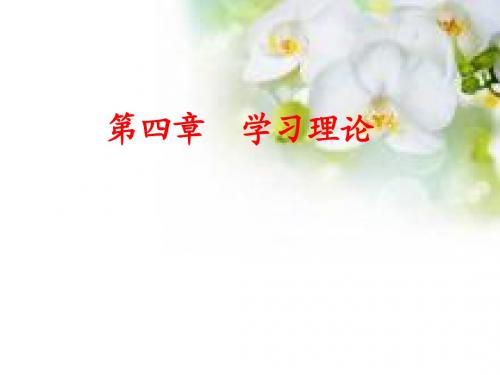第四章 学习理论