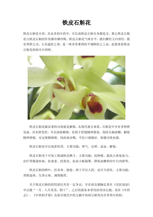 铁皮石斛花