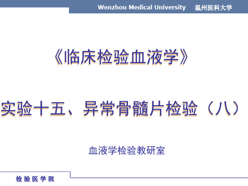 临床血液学检验-实验-异常骨髓片8-180