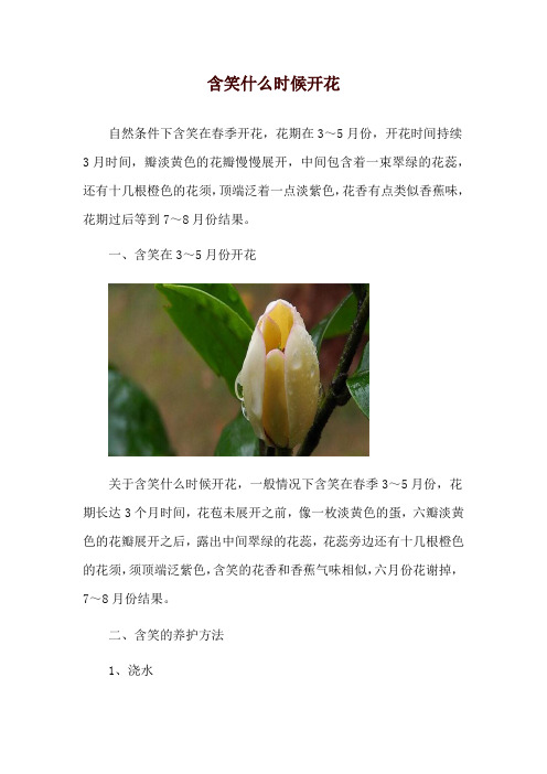 含笑什么时候开花