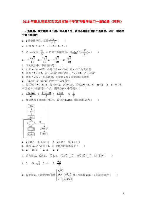 湖北省武汉市武昌实验中学高三数学临门一脚试卷理(含解析)