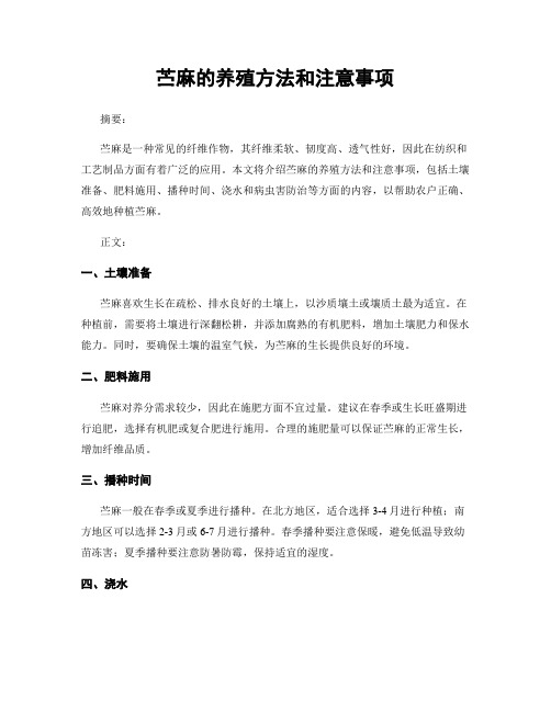 苎麻的养殖方法和注意事项