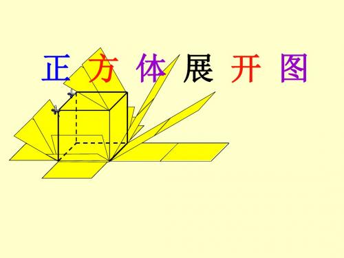 正方体11种平面展开图分类及练习