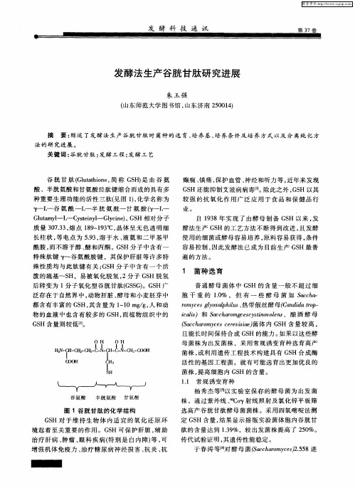 发酵法生产谷胱甘肽研究进展