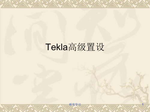 Tekla高级置设(技术材料)