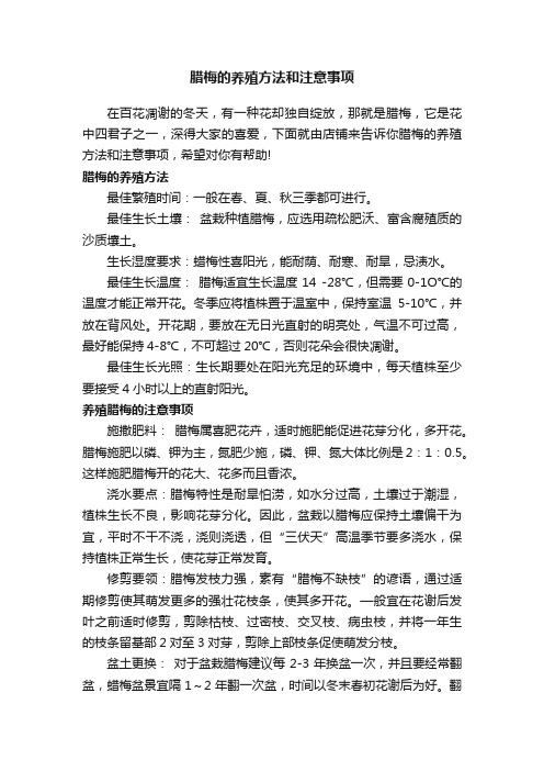 腊梅的养殖方法和注意事项