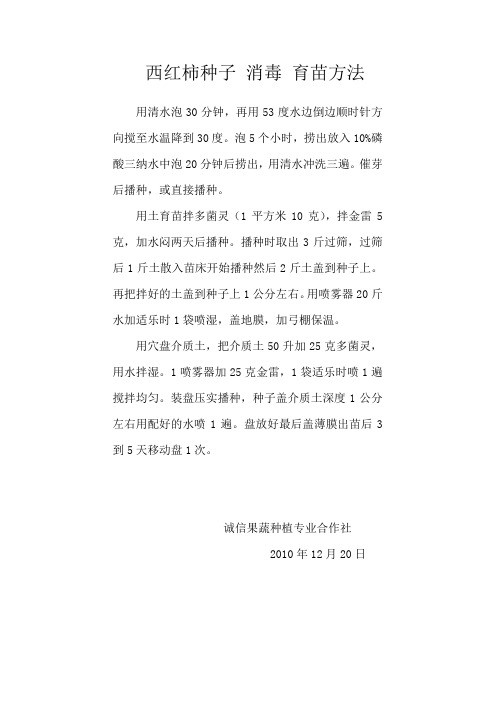 西红柿种子 消毒 育苗方法