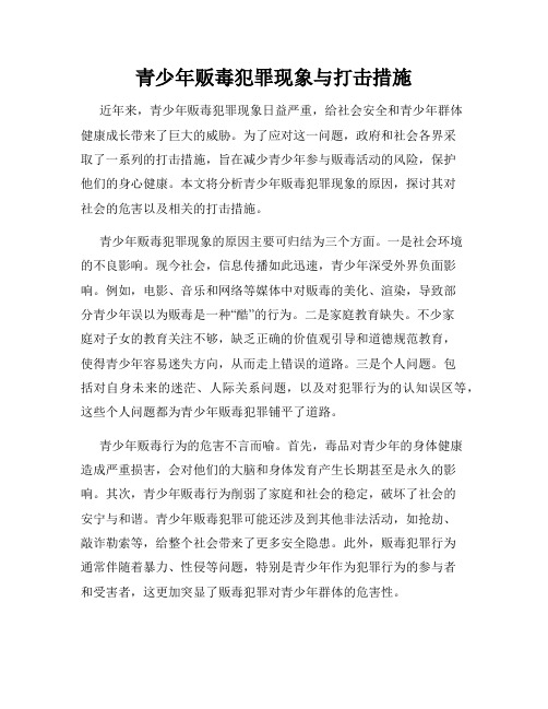 青少年贩毒犯罪现象与打击措施