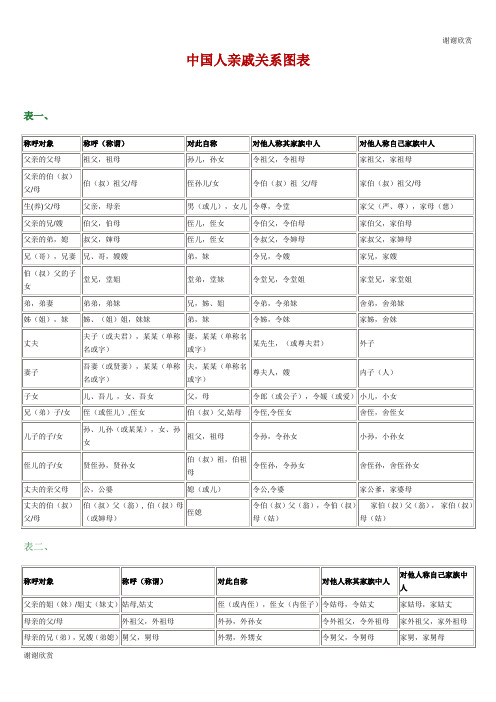 亲戚关系图表.doc