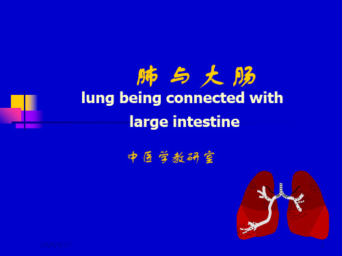 肺-与-大-肠ppt课件可修改文字