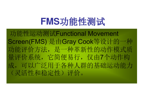 02FMS功能性测试PPT课件