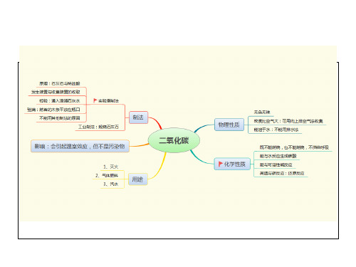 人教版九年级化学中考复习必备《二氧化碳 思维导图》(24张 PPT)