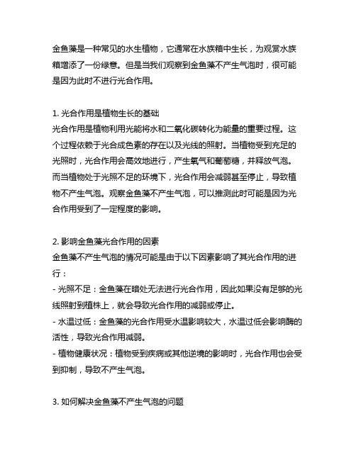 c点时金鱼藻不产生气泡,说明此时不进行光合作用