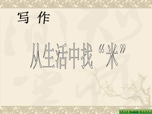 江苏省淮安市洪泽县共和中学七年级语文上册《从生活中找“米”》课件 苏教版