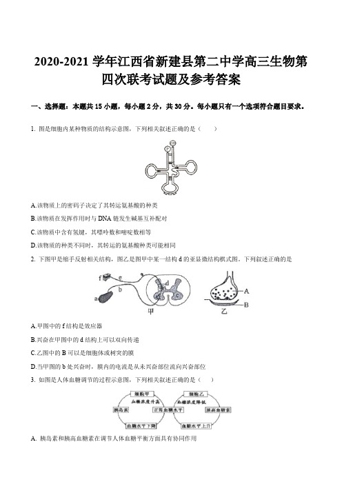 2020-2021学年江西省新建县第二中学高三生物第四次联考试题及参考答案