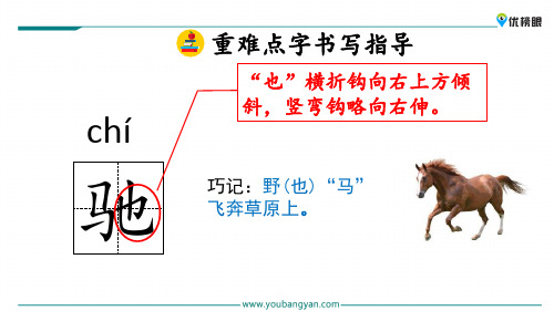 (全新免费版)1-3年级课件精选  19 牧场之国_11-15