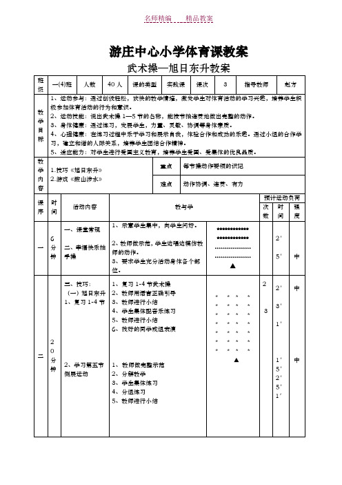 武术操第五节教案