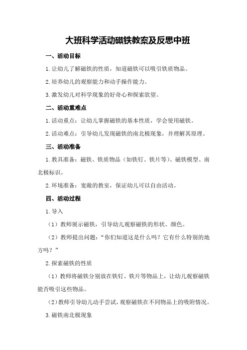 大班科学活动磁铁教案及反思中班