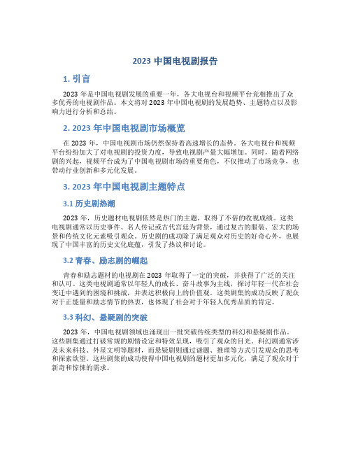 2023中国电视剧报告