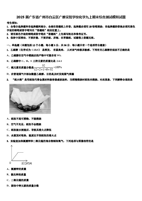 2025届广东省广州市白云区广雅实验学校化学九上期末综合测试模拟试题含解析