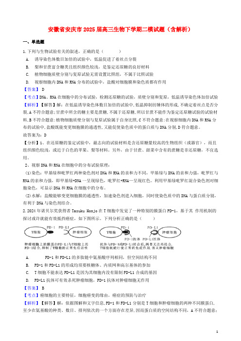 安徽省安庆市2025届高三生物下学期二模试题含解析