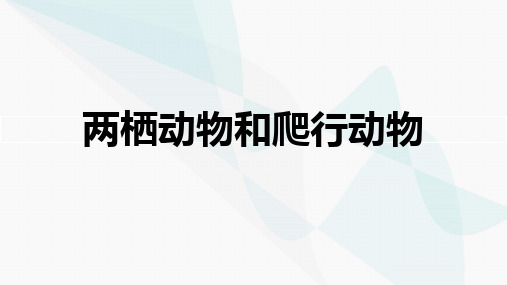 两栖动物和爬行动物课件(共22张PPT)八年级上册生物学人教版