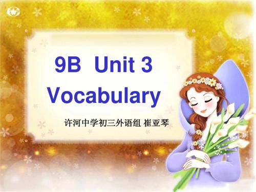 Unit 3 Asia Vocabulary课件(译林牛津版九年级下)