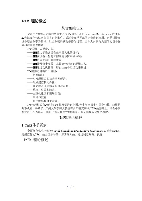 nPM理论概述word版